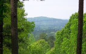 Beautiful mountain view in Claiborne Parish