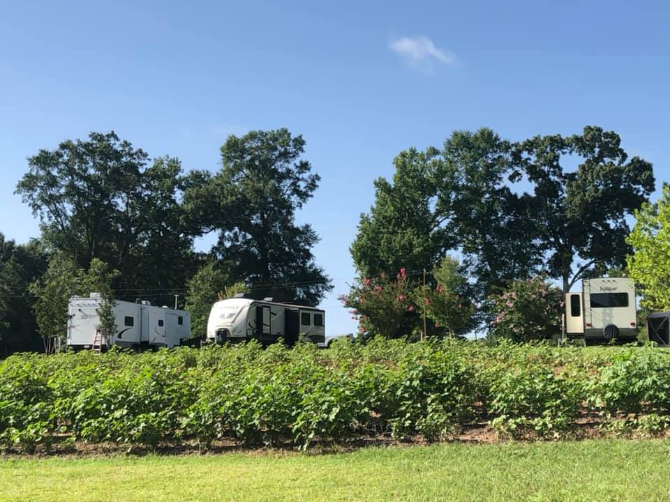 RV park with three RVs spaced out